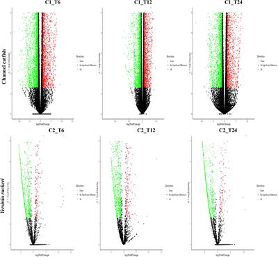 Dual RNA-Seq of Trunk Kidneys Extracted From Channel Catfish Infected With Yersinia ruckeri Reveals Novel Insights Into Host-Pathogen Interactions